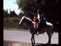 Shari and Horse